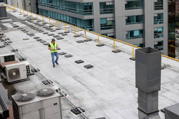Best Steel Roofing  in Princess Anne, MD