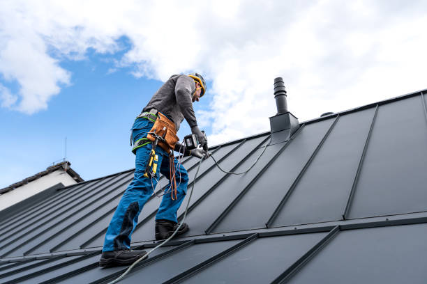 Best Roof Insulation Installation  in Princess Anne, MD